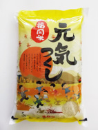 福岡県産 元気つくし